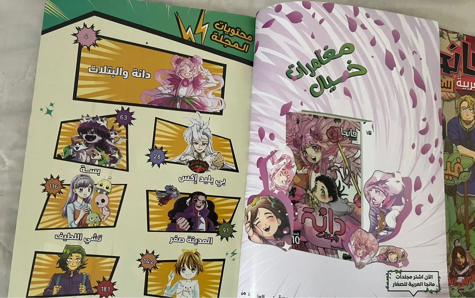 Mangas arabe – photo 5